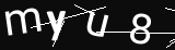 verifycode